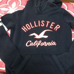 Hollister Sweatshirt